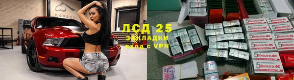 шишки Магас