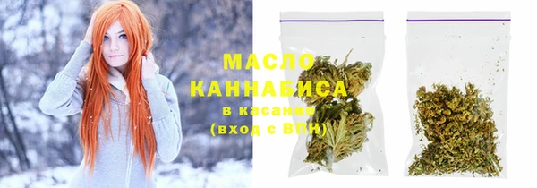 шишки Магас