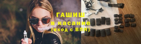 шишки Магас