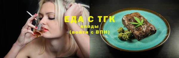 шишки Магас