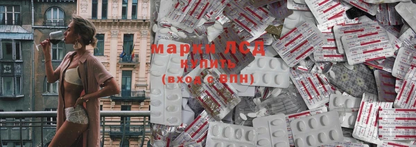 шишки Магас
