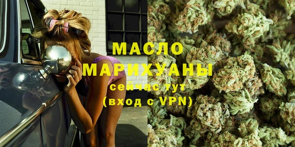 шишки Магас