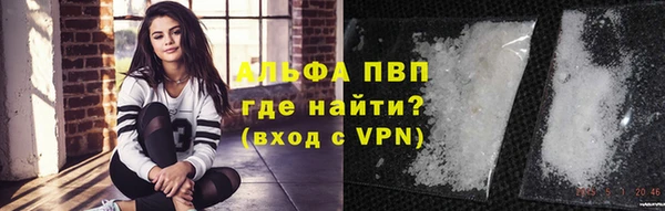 шишки Магас